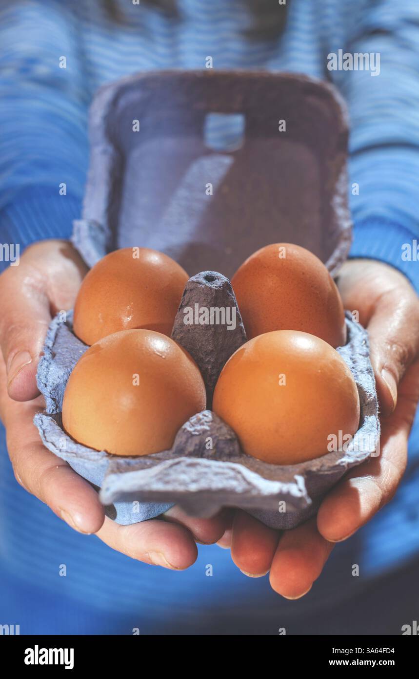 Blue color packing eggs Stock Photo