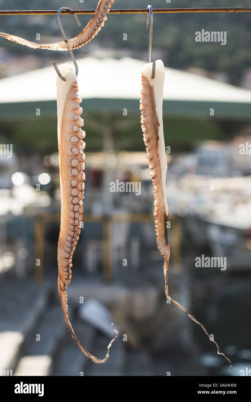 Octopus tied on rope and boats Stock Photo - Alamy
