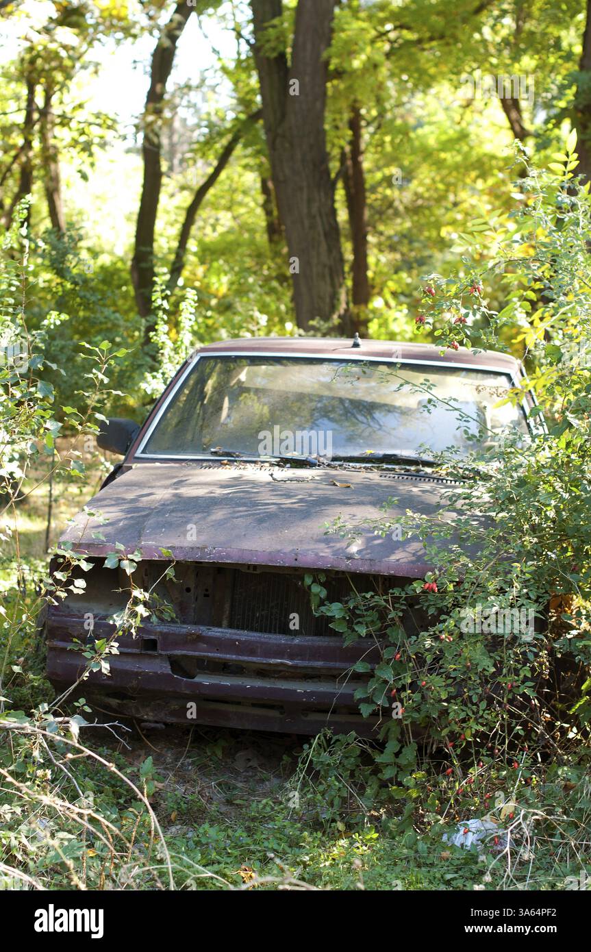 Old, broken car between green bushes and forests Stock Photo - Alamy