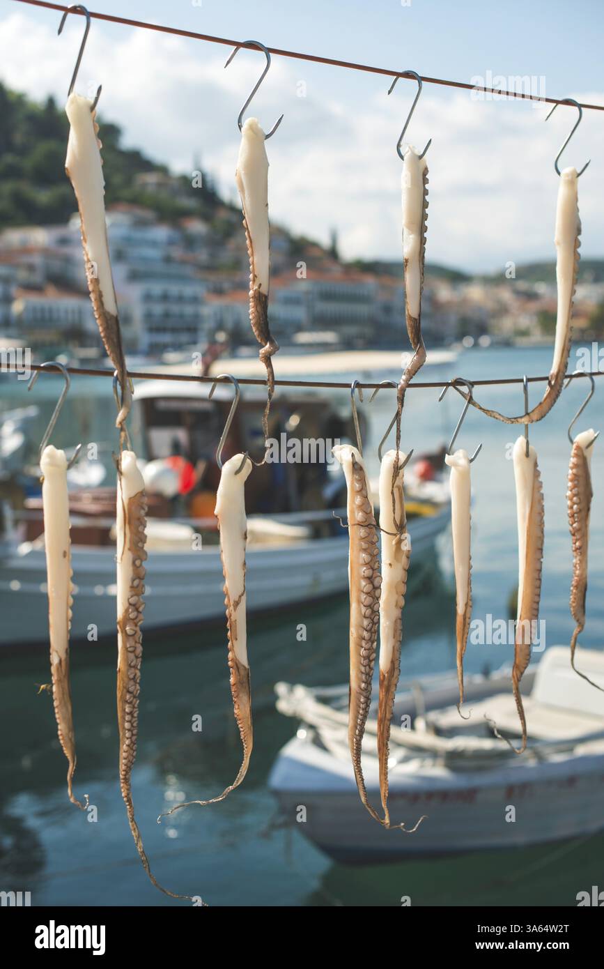 Octopus tied on rope and boats Stock Photo - Alamy
