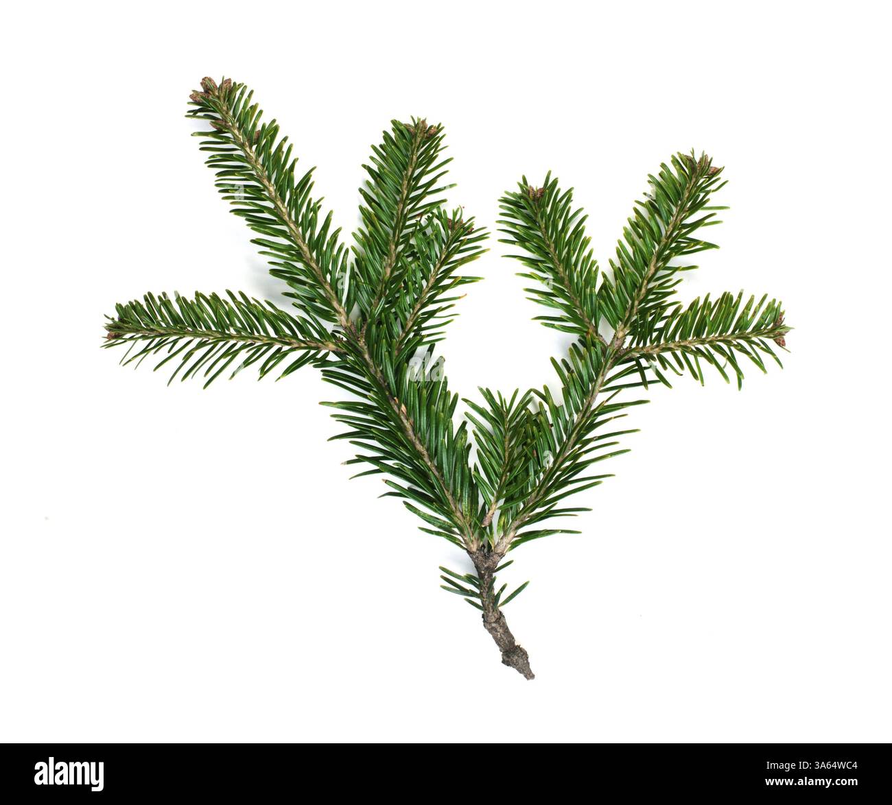 white high heel boots cheap