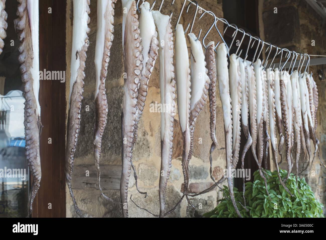 Octopus on rope in restaurant Stock Photo - Alamy