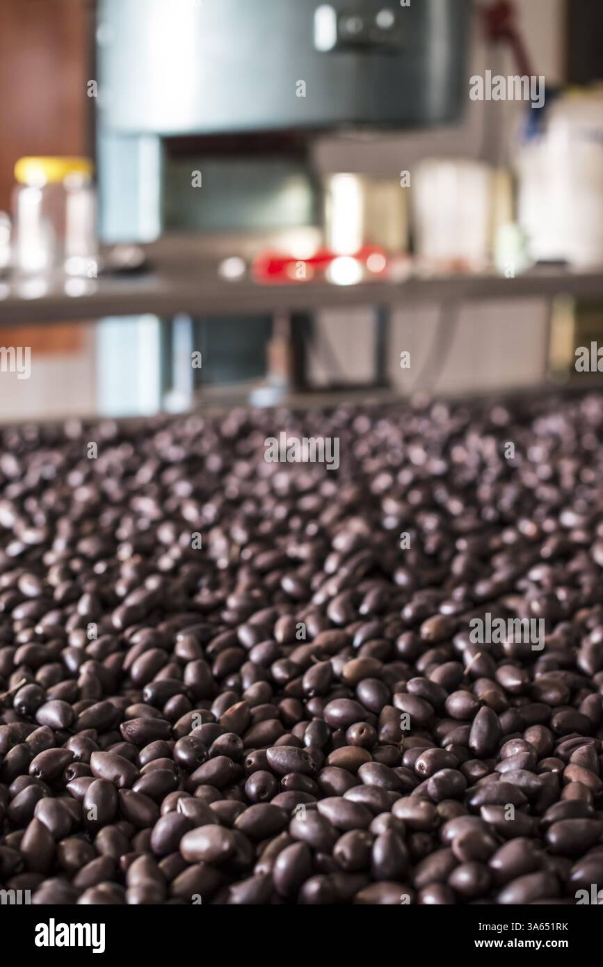 Verpackung Oliven Stock Photo