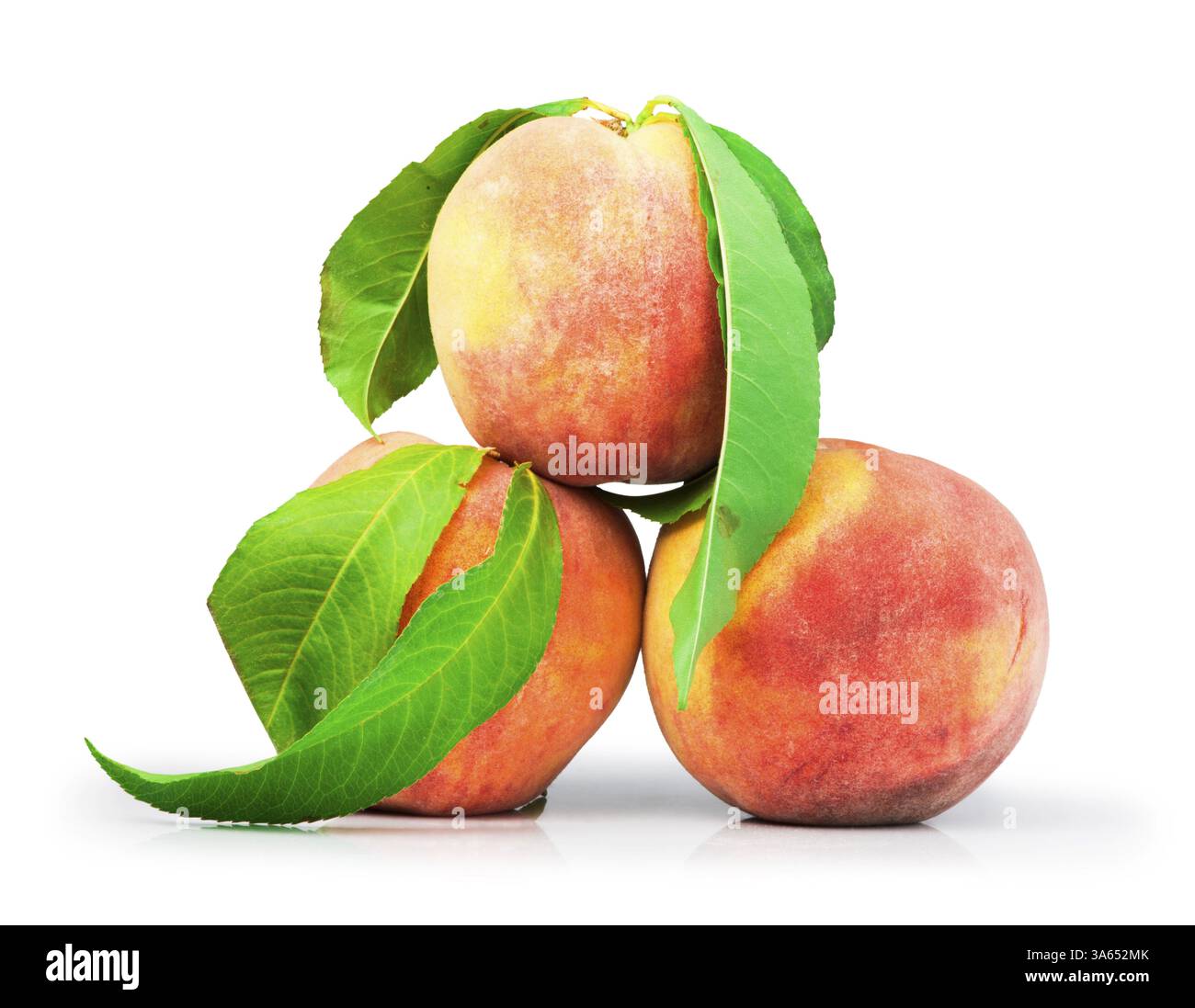 Peaches and leaf white isolated Stock Photo