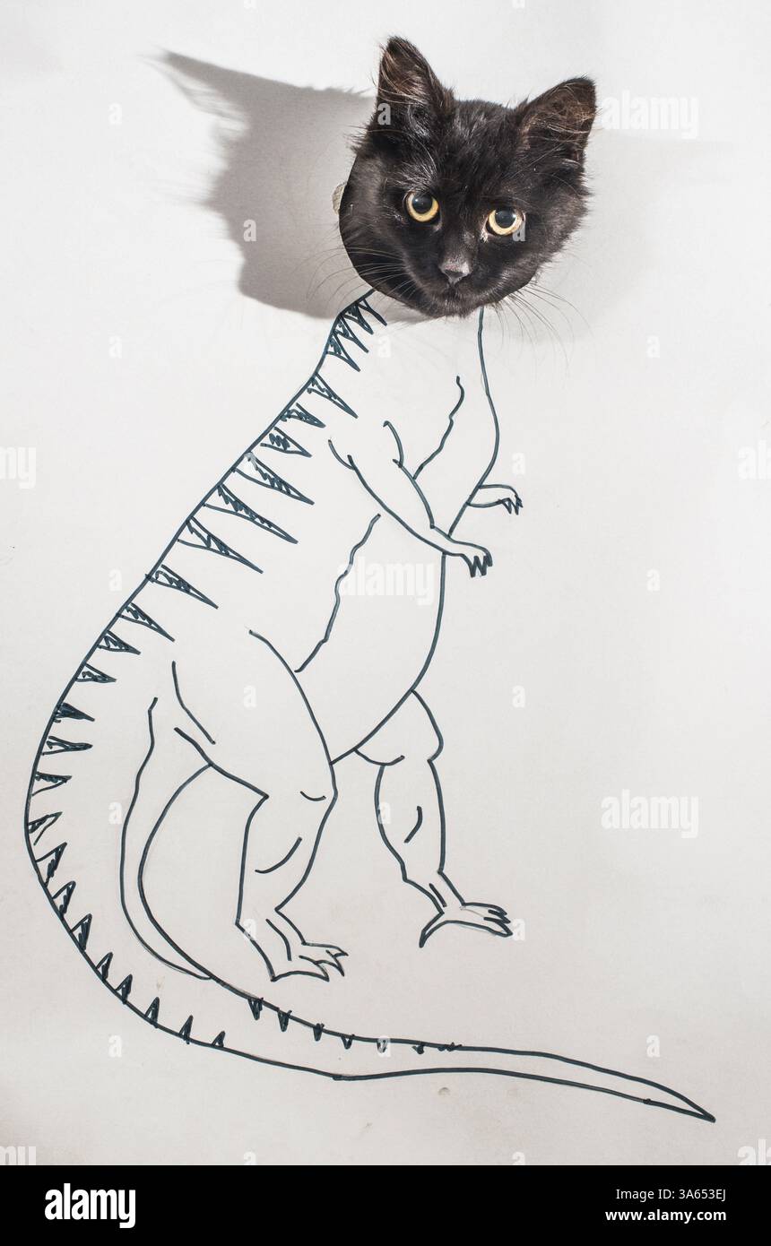 Strong cat conception drawing. Dinosaur drawing Stock Photo - Alamy