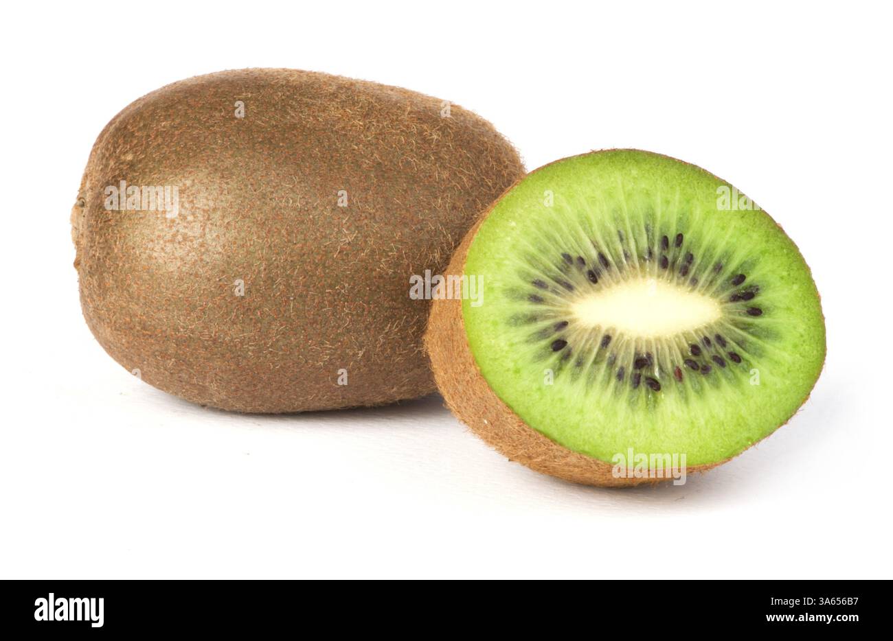 Whole system Cut Out Stock Images Pictures Alamy Whole system Cut Out Stock Images Pictures Alamy