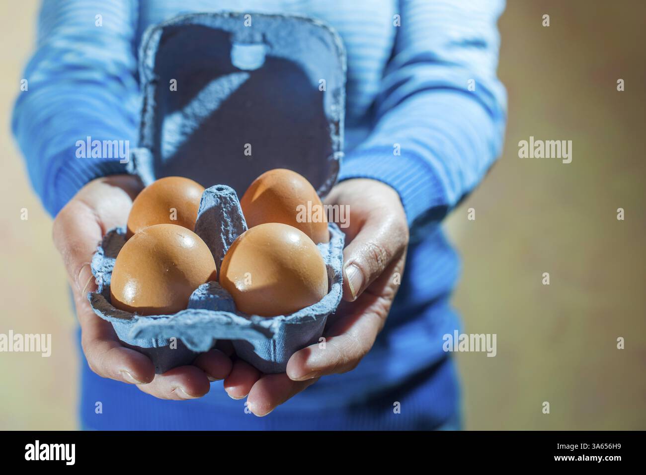 Blue color packing eggs Stock Photo