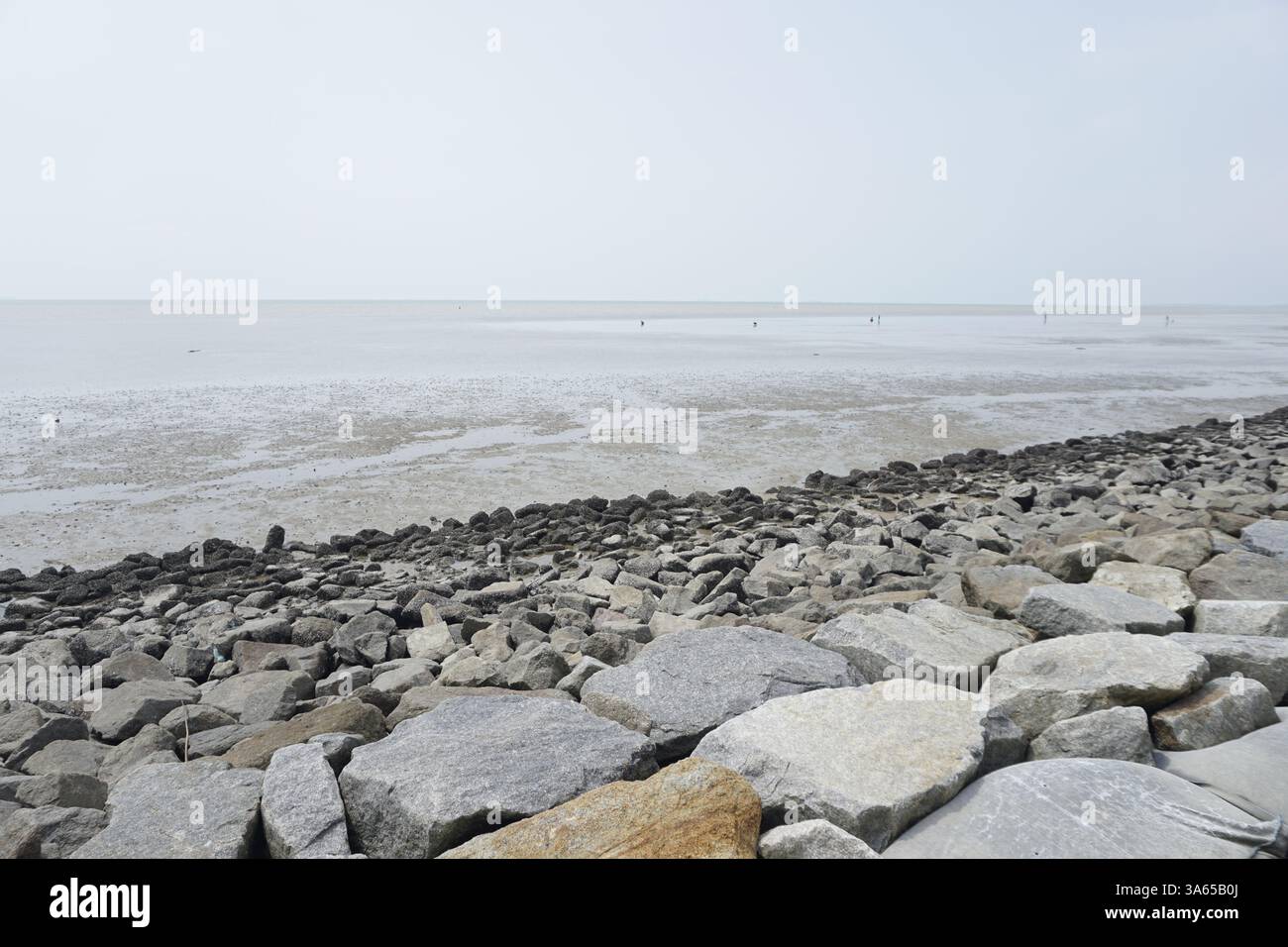 stony beach Stock Photo