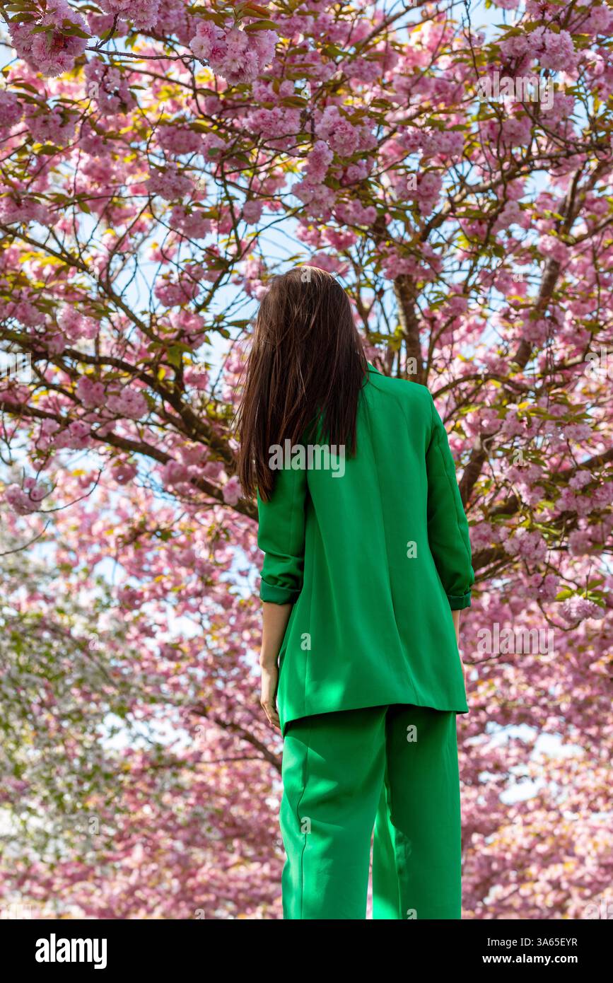 Rear view with a businesswoman dressed in a green suit enjoying nature in a cherry tree orchard Stock Photo