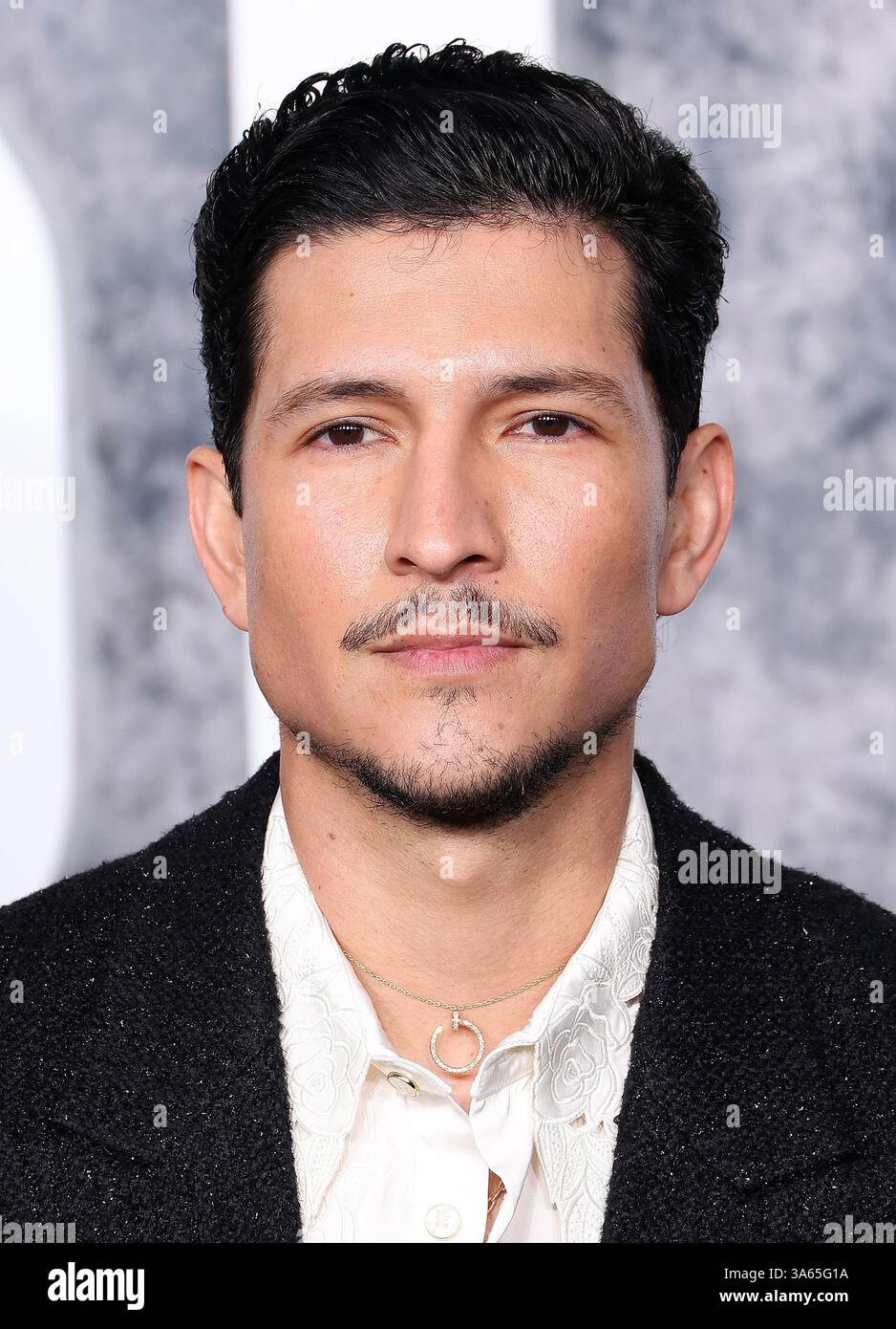 Danny Ras Los Angeles, USA. 24th Mar, 2025. Danny Ramirez attends the Los Angeles ...