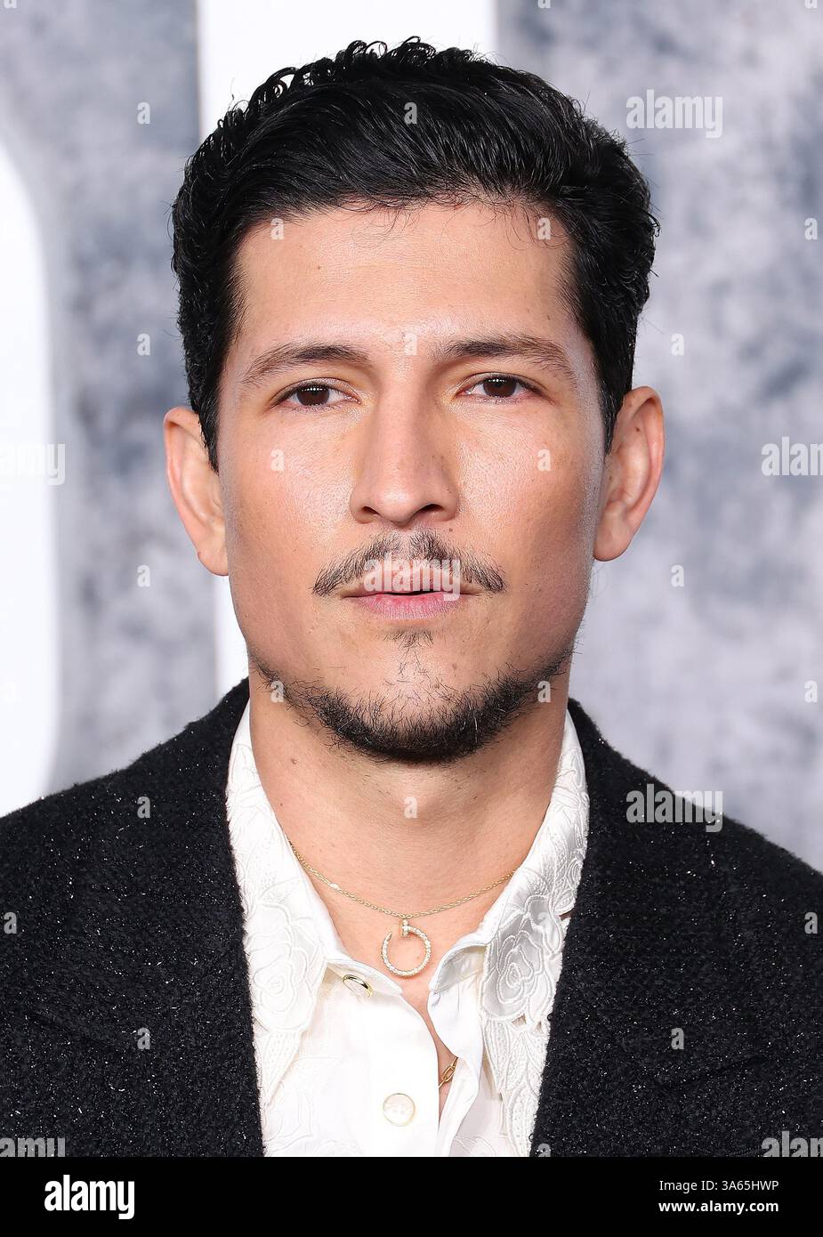 Danny Ras Los Angeles, USA. 24th Mar, 2025. Danny Ramirez attends the Los Angeles ...