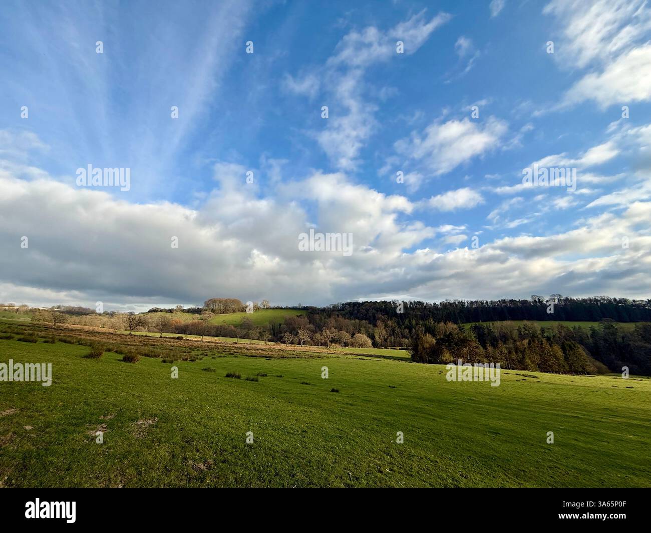 The Cricket St Thomas House, Estate and Hotel, Chard, Somerset - Smartphone Captured Stock Image