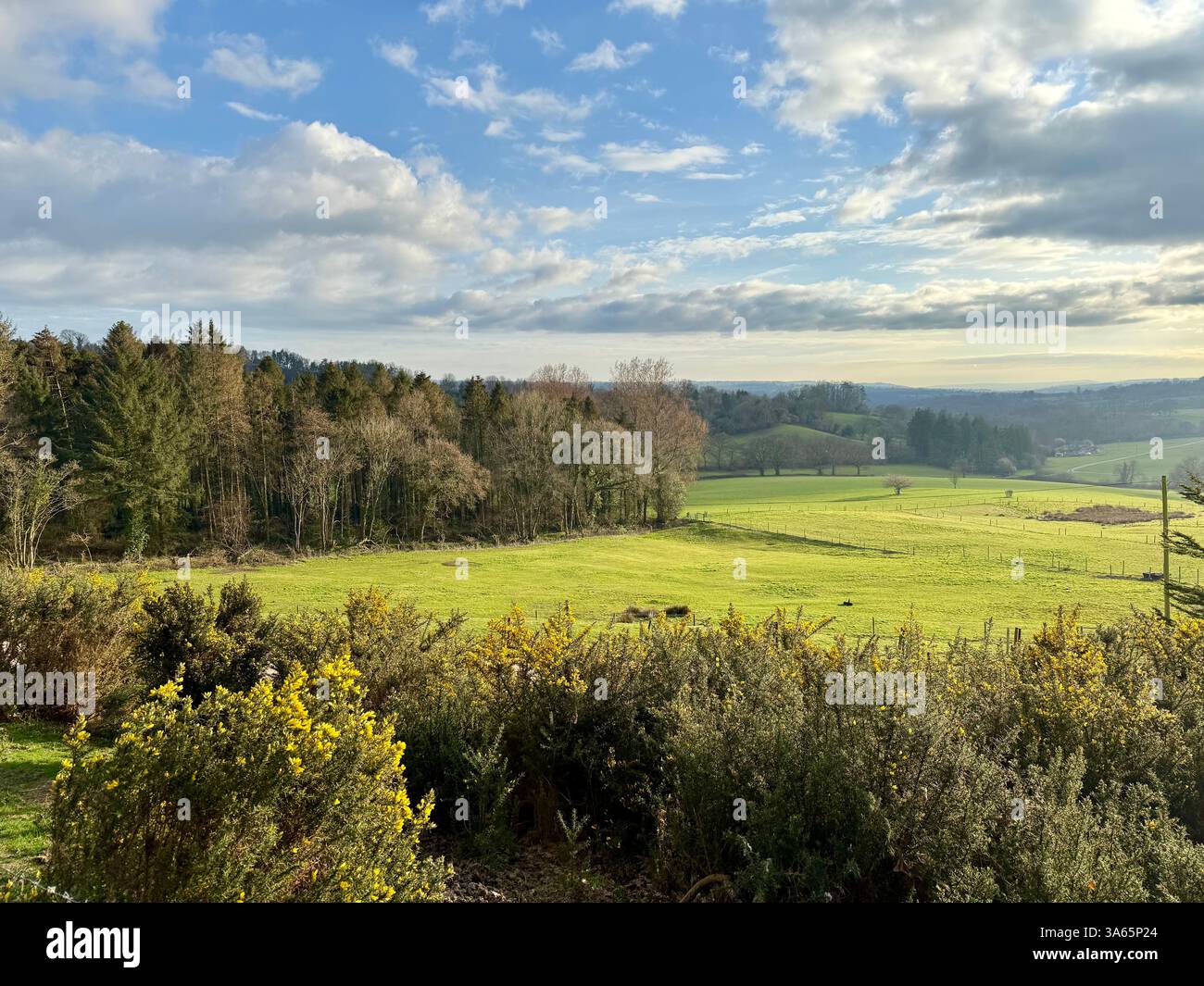 The Cricket St Thomas House, Estate and Hotel, Chard, Somerset - Smartphone Captured Stock Image