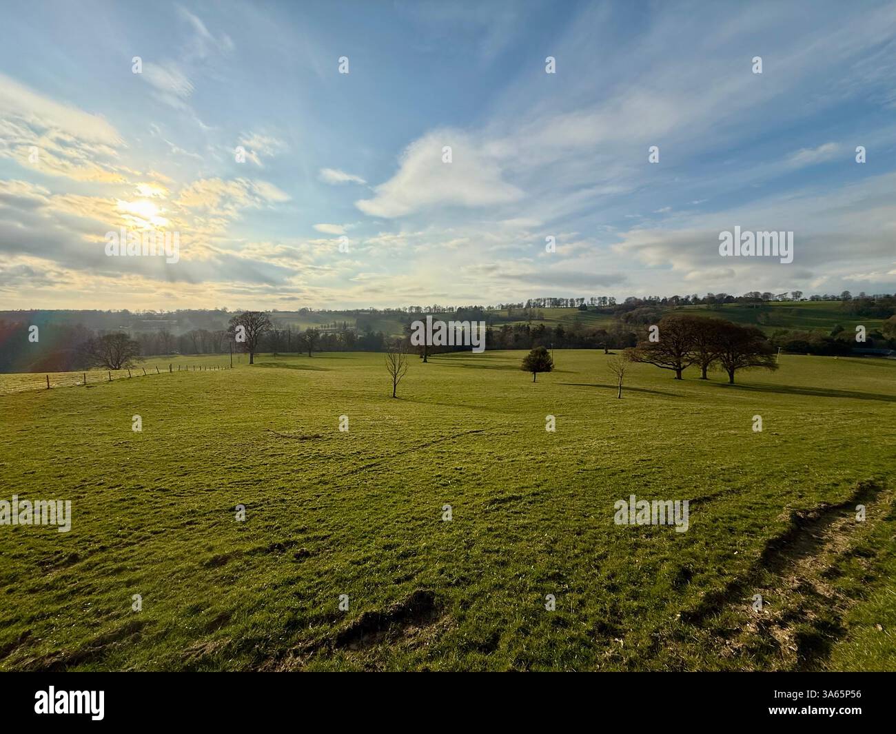 The Cricket St Thomas House, Estate and Hotel, Chard, Somerset - Smartphone Captured Stock Image