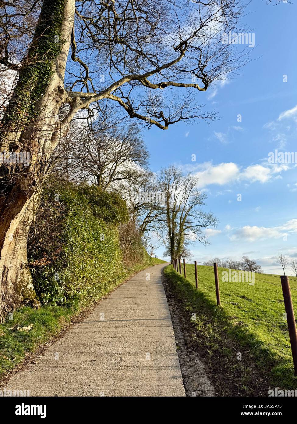 The Cricket St Thomas House, Estate and Hotel, Chard, Somerset - Smartphone Captured Stock Image
