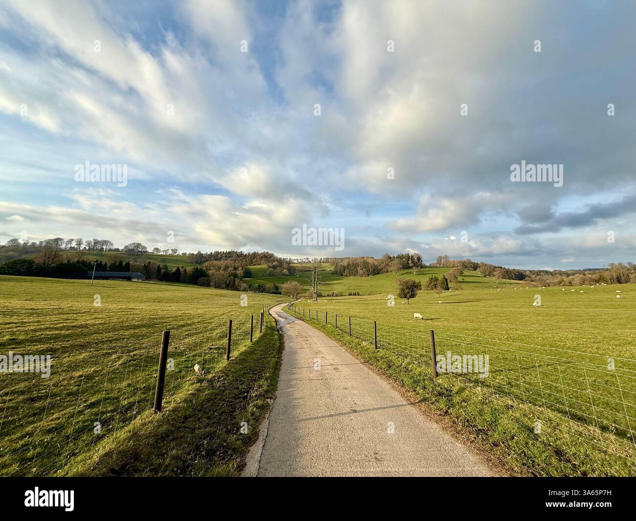 The Cricket St Thomas House, Estate and Hotel, Chard, Somerset - Smartphone Captured Stock Image