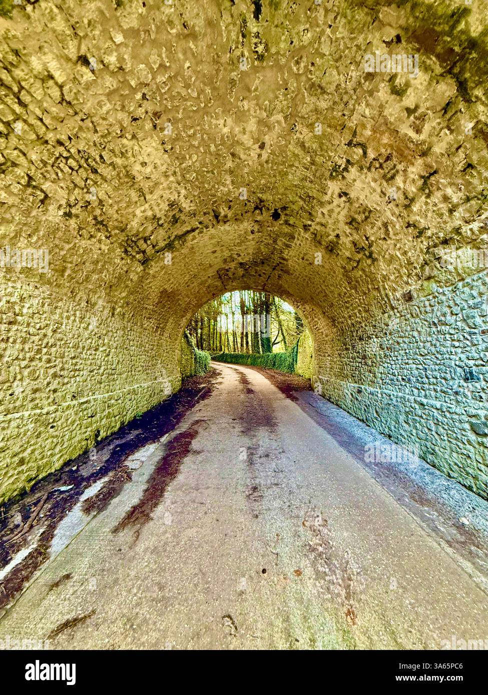 The Cricket St Thomas House, Estate and Hotel, Chard, Somerset - Smartphone Captured Stock Image