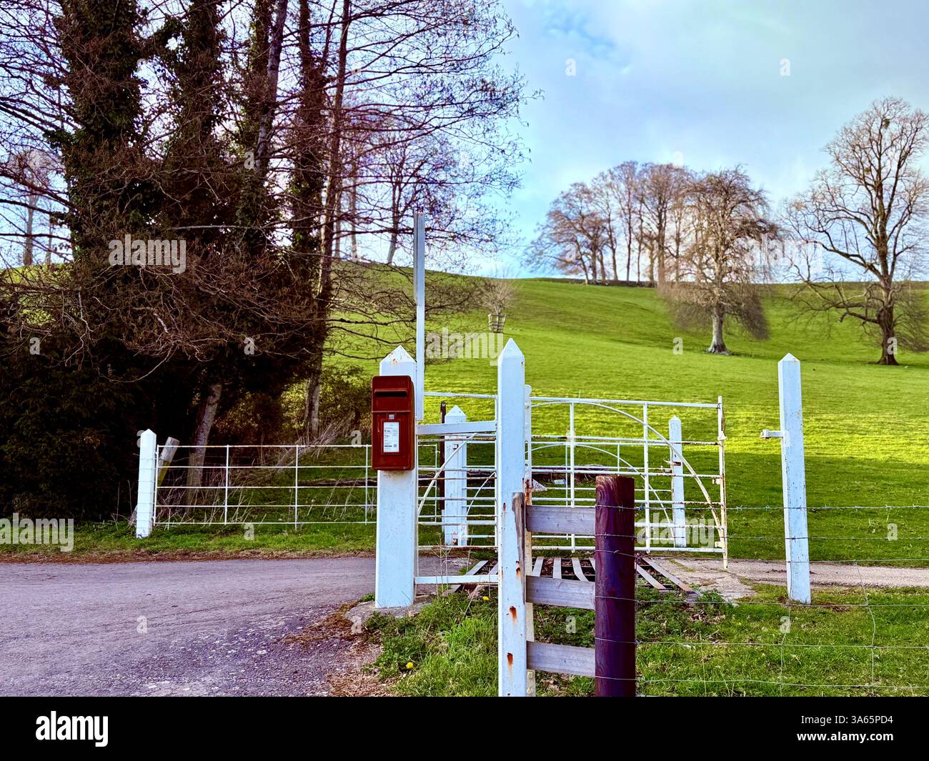 The Cricket St Thomas House, Estate and Hotel, Chard, Somerset - Smartphone Captured Stock Image