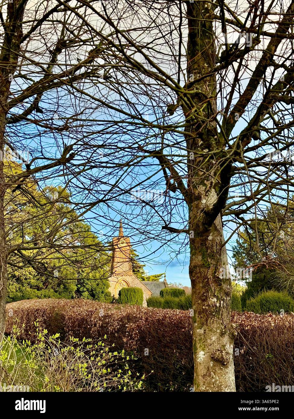 The Cricket St Thomas House, Estate and Hotel, Chard, Somerset - Smartphone Captured Stock Image