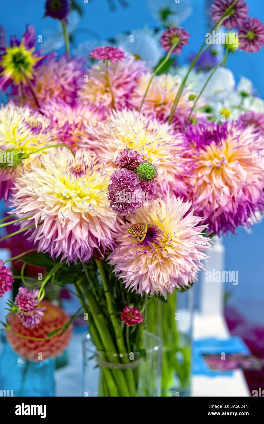 Dahlias vase hi-res stock photography and images - Alamy