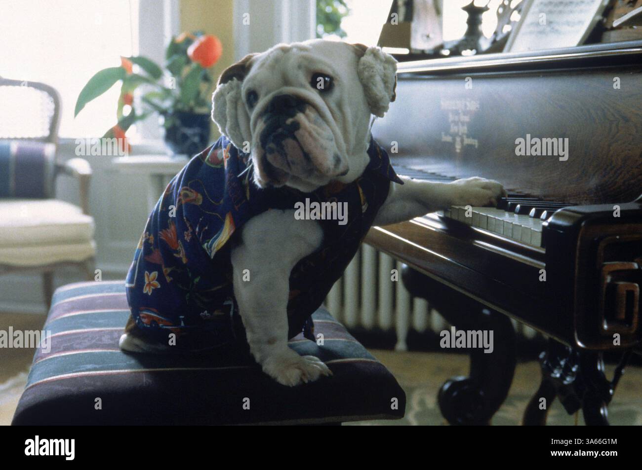 Dec 25, 1997; Los Angeles, CA, USA; Scene from the Walt Disney Pictures ...