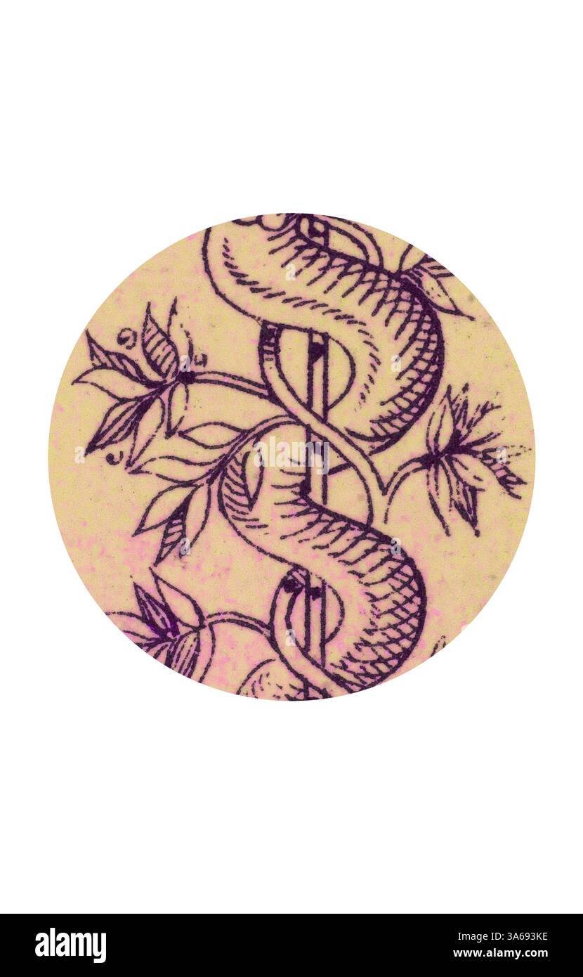 Staff ornament Cut Out Stock Images Pictures Alamy