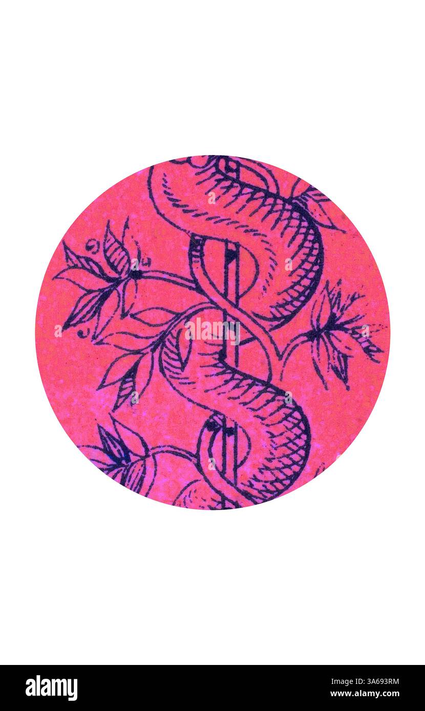 A detailed illustration featuring intertwined snakes and delicate vines ...