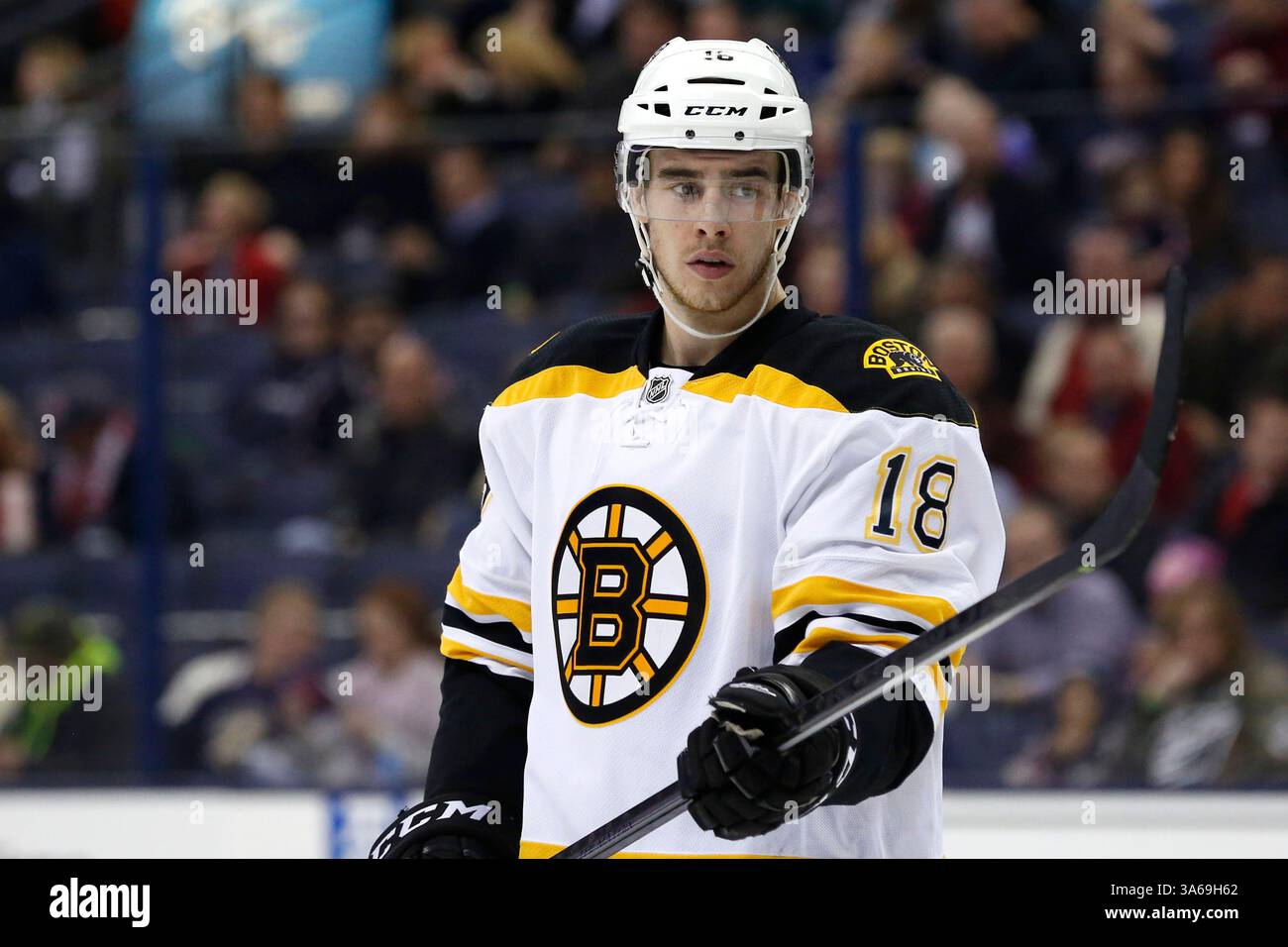 Reilly smith hi-res stock photography and images - Alamy, image size:1300x956