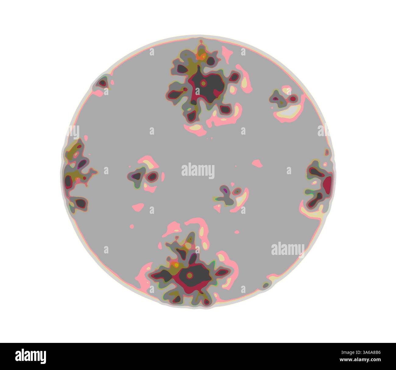 An abstract circular pattern featuring muted colors and organic shapes ...