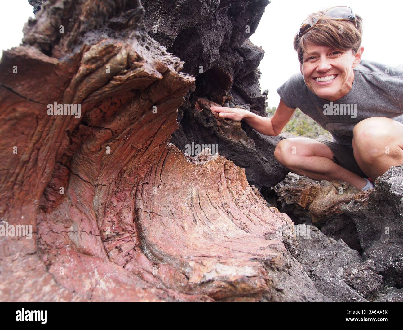 Lava encased tree hi-res stock photography and images - Alamy