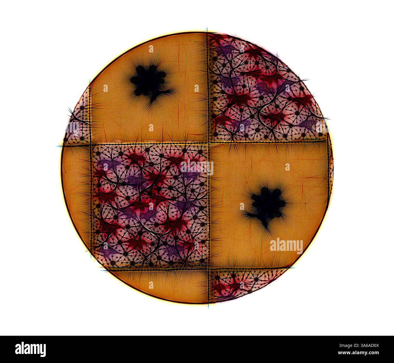 Maintaining symmetry hi-res stock photography and images - Alamy