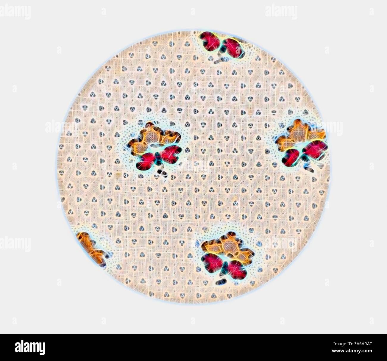 Textured patterns enhance hi-res stock photography and images - Alamy