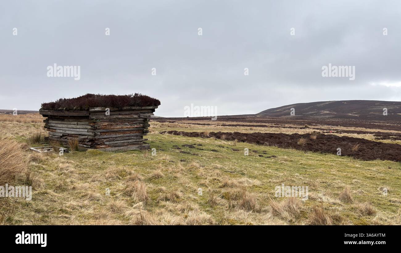 Windswept Scottish moorland and hills. Perthshire mountain range. Cnoc Beithe hill. Grassland, sheep and flowing water. Highland stream river burn wil - Smartphone Captured Stock Image