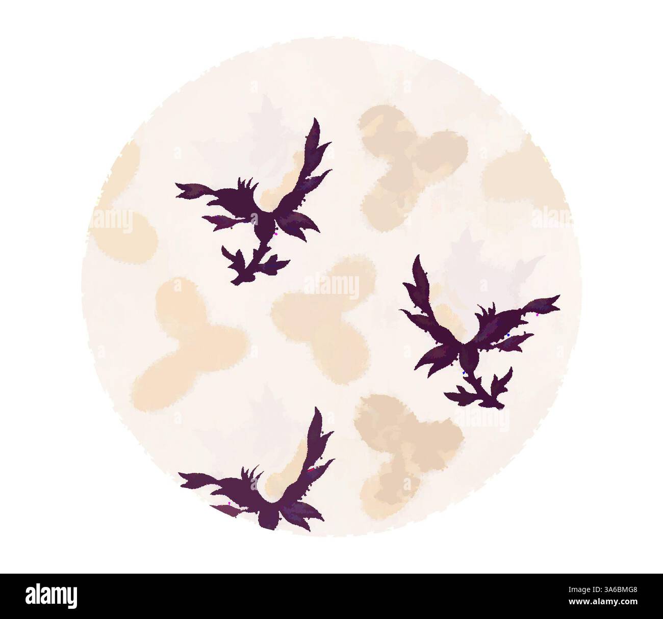 Delicate silhouettes of birds hi-res stock photography and images - Alamy