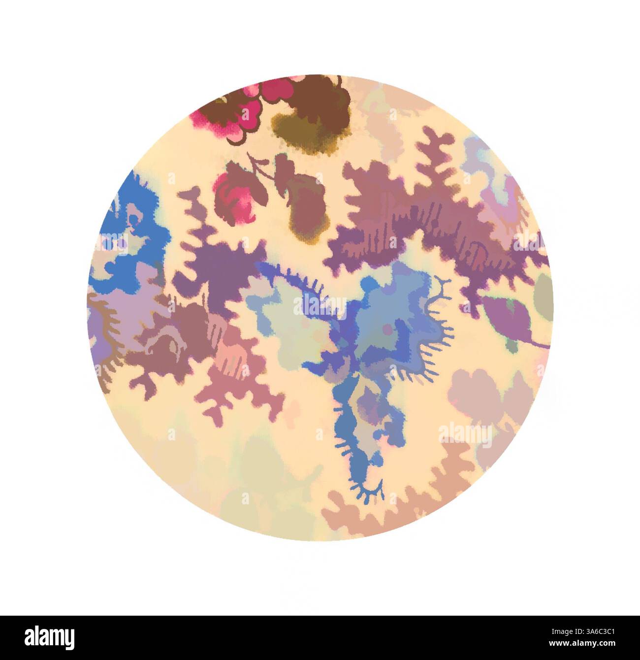 Sense of natural organic shapes Cut Out Stock Images & Pictures - Alamy