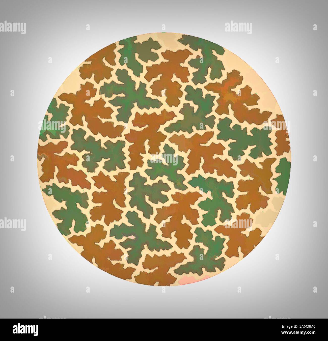 Trees Overlapping Pattern Overlapping oak leaves hi-res stock photography and images - Alamy