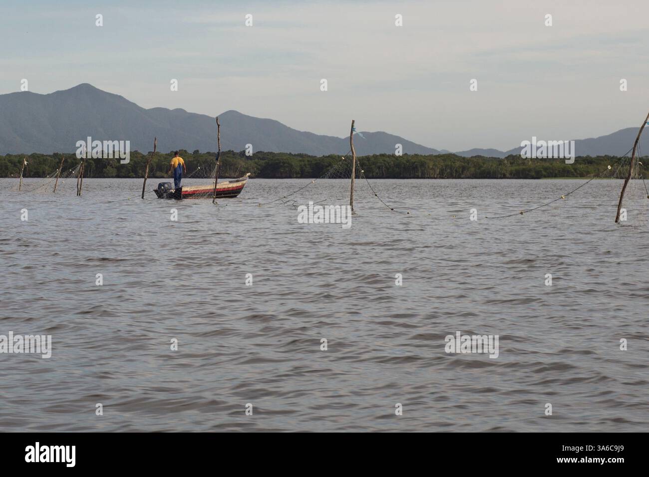 Jan 14, 2015 - Cananeia, Sao Paulo, Brazil - Fisherman takes fish nets at Cananeia Bay. (Credit Image: © Alexandre Moreira/ZUMAPRESS.com) Stock Photo