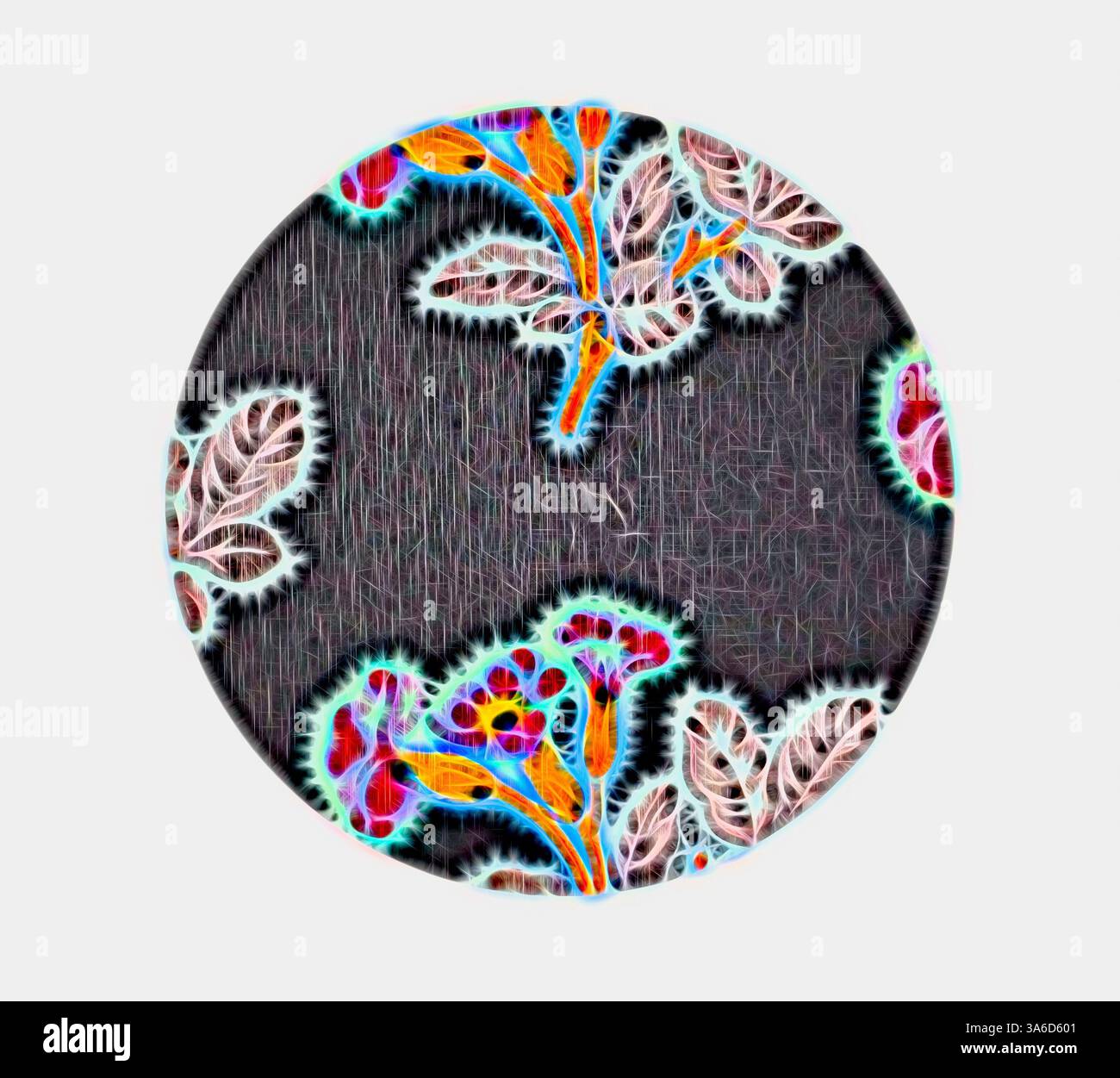 Radiant patterns enhancing hi-res stock photography and images - Alamy