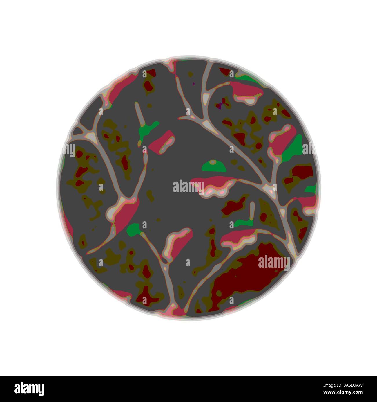 Resembling intricate leaf shapes hi-res stock photography and images ...