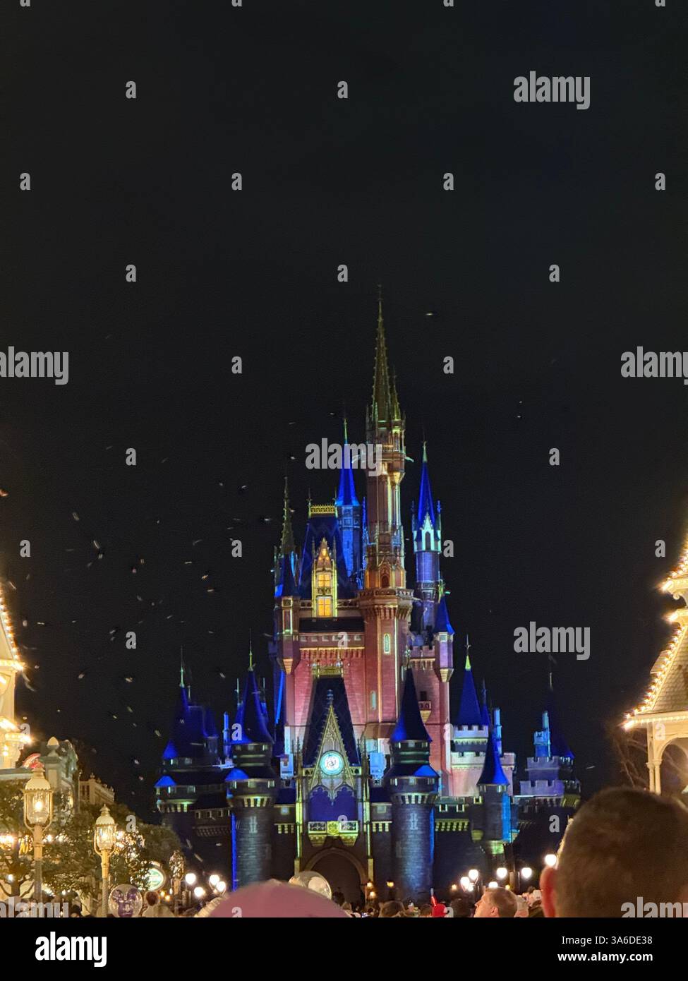 Disney World Castle, Florida; USA - Smartphone Captured Stock Image