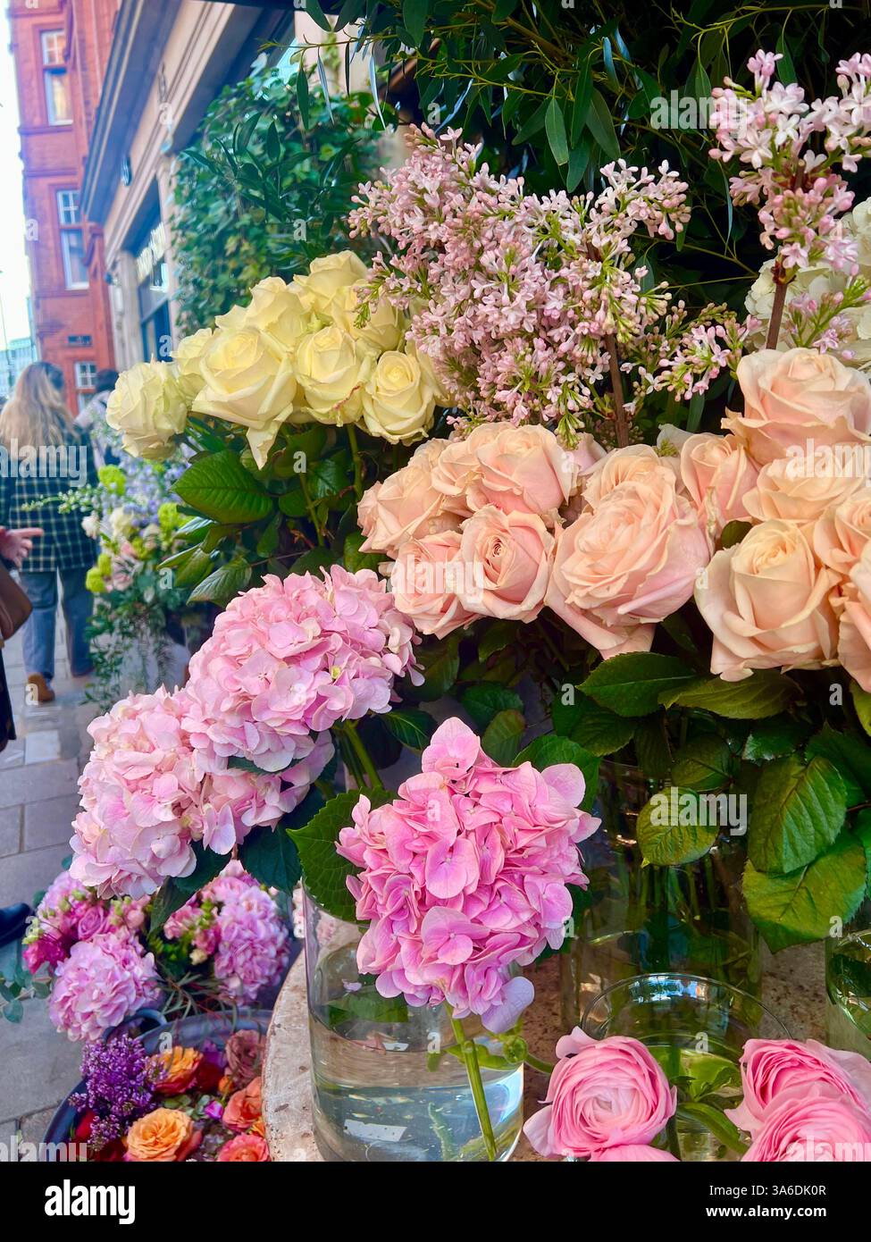 Flowers in Spring - Smartphone Captured Stock Image