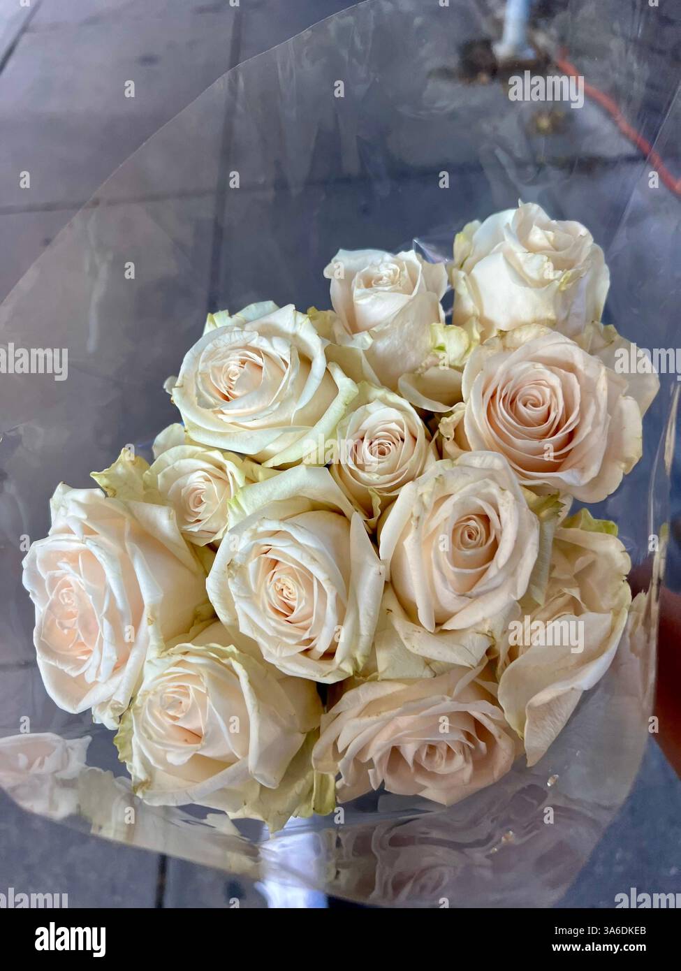 Flowers in Spring - Smartphone Captured Stock Image