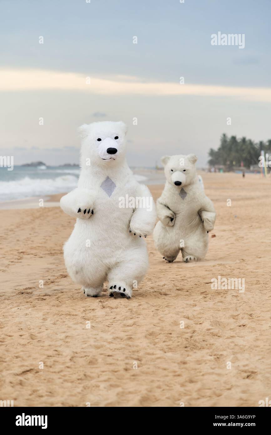 Polar bear on beach hi-res stock photography and images - Alamy