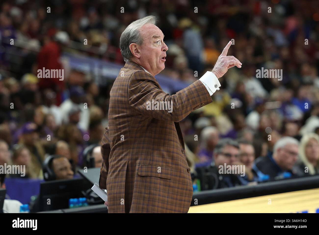 GREENVILLE, SC - MARCH 08: Texas Longhorns head coach Vic Schaefer ...