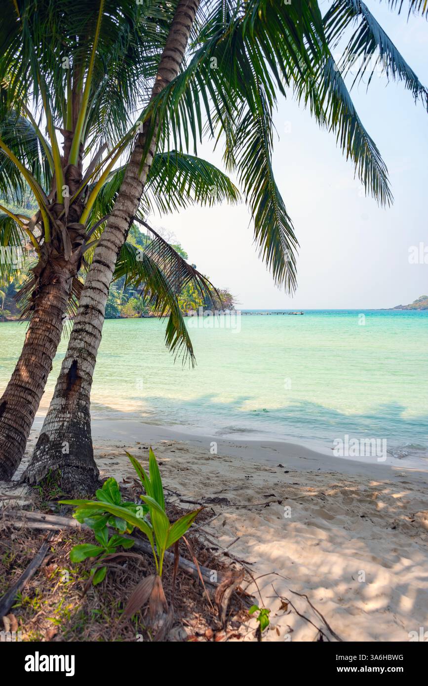 Serene koh kood island thailand hi-res stock photography and images - Alamy