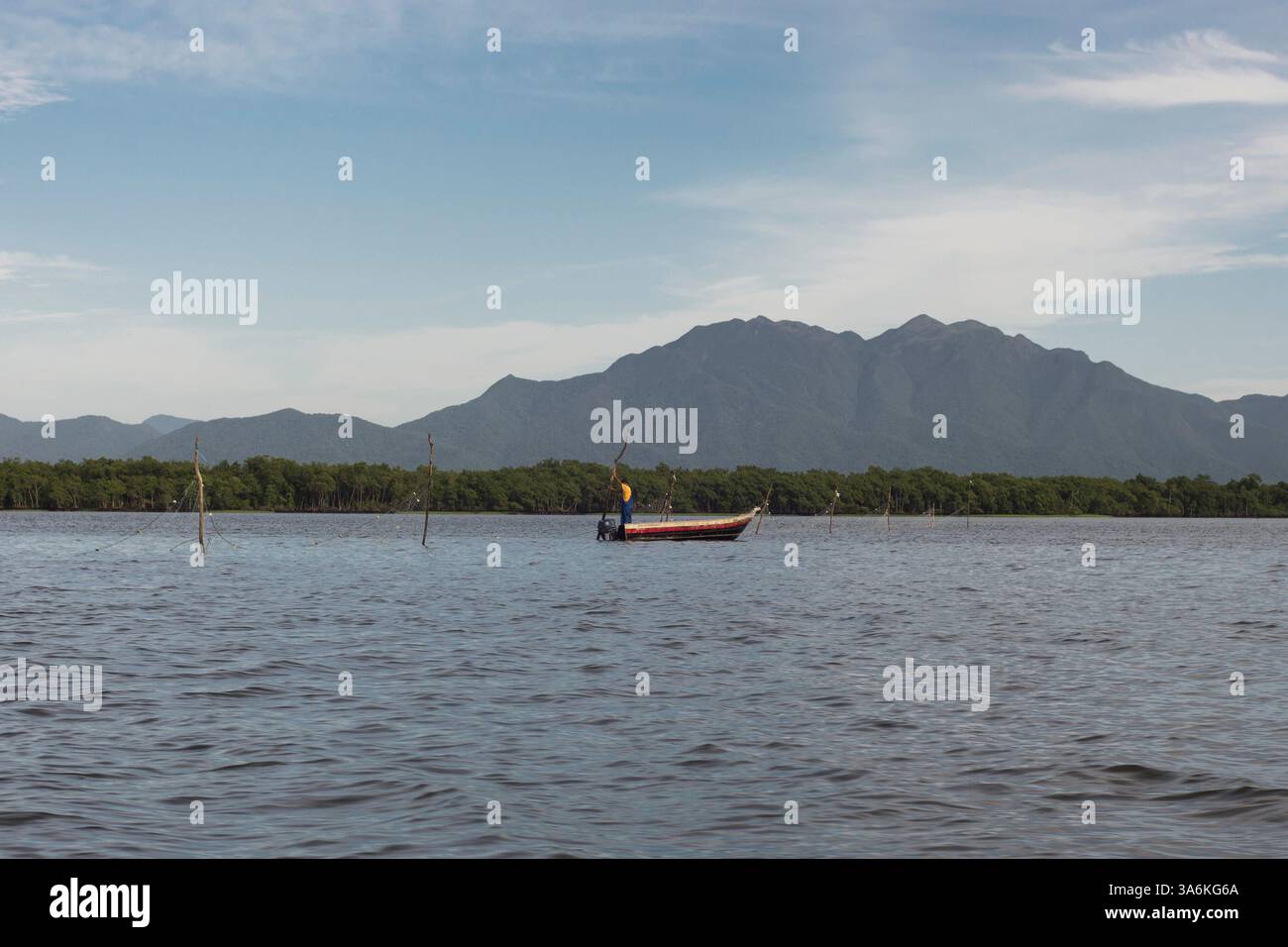 Jan 15, 2015 - Cananeia, Sao Paulo, Brazil - Fisherman takes fish nets at Cananeia Bay. (Credit Image: © Alexandre Moreira/ZUMAPRESS.com) Stock Photo