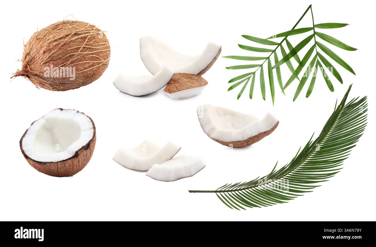 Fresh coconuts and green palm leaves isolated on white Stock Photo