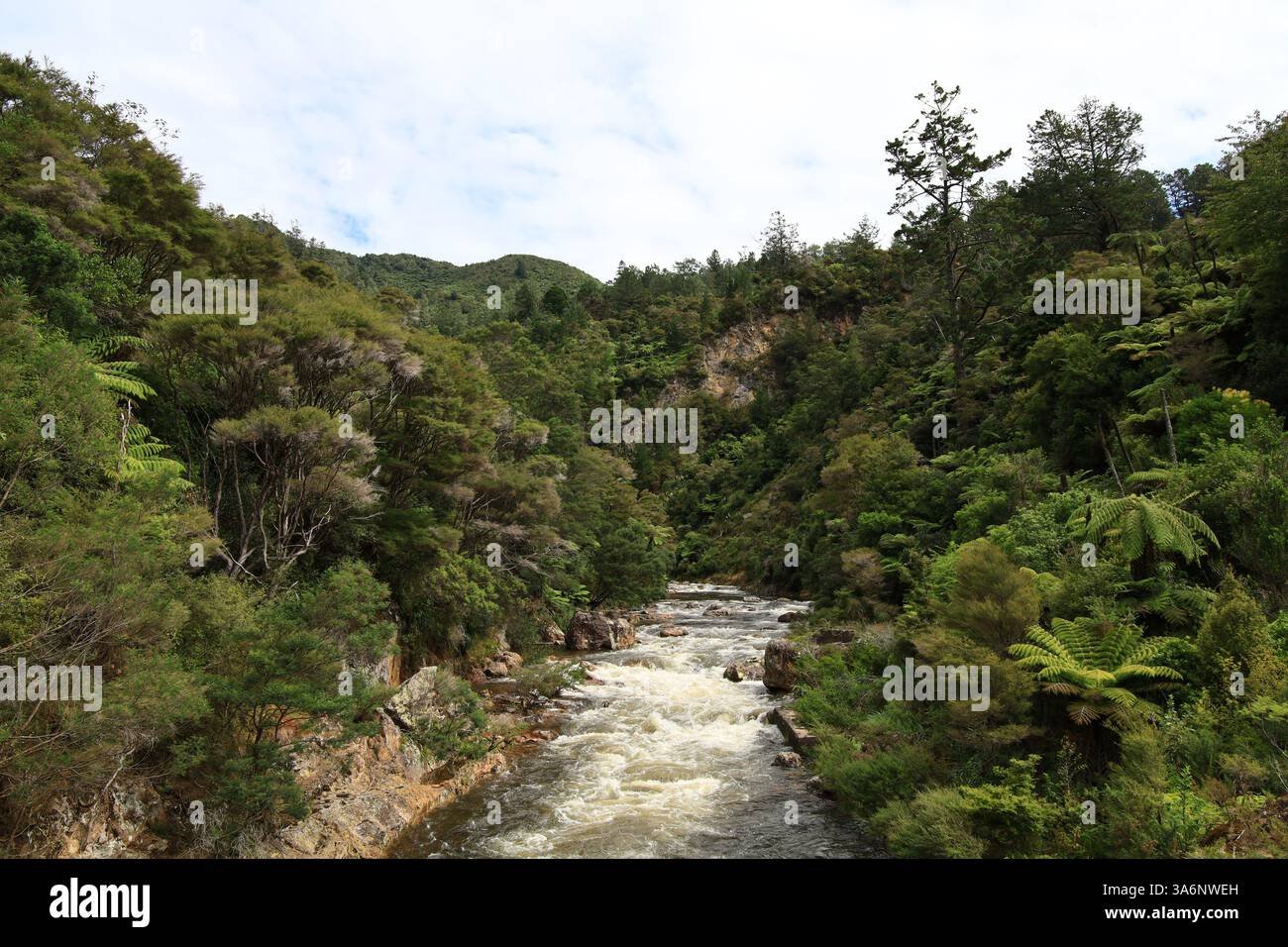 Coromandel Ranges The Karangahake Gorge lies between the Coromandel and Kaimai ranges, at ...