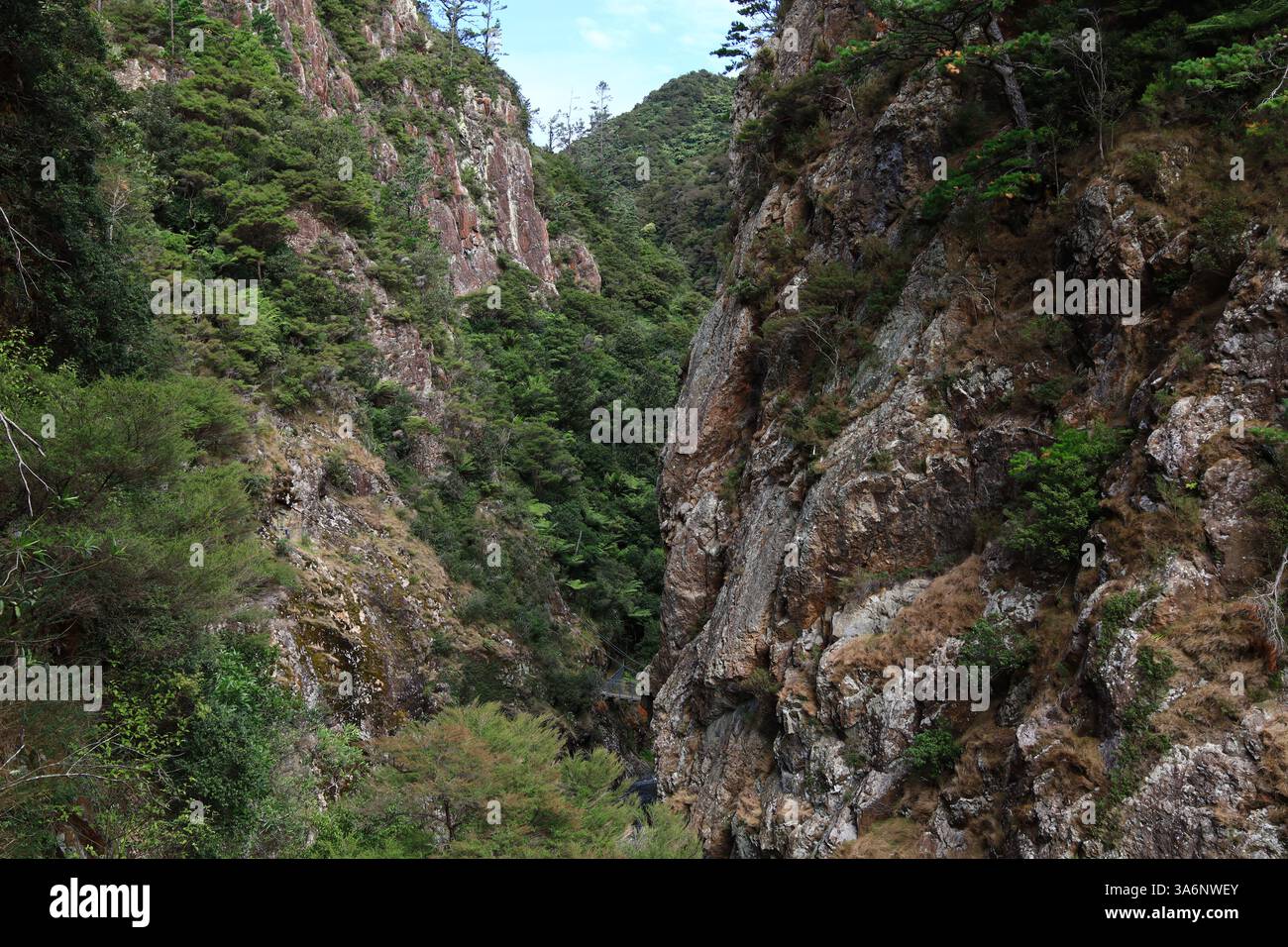 Coromandel Ranges The Karangahake Gorge lies between the Coromandel and Kaimai ranges, at ...