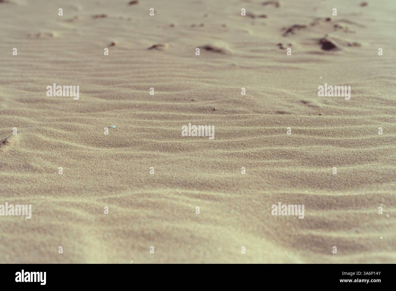 Close Up of Sand Texture on a Beach. Summer Nature Background Stock ...